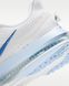 Кроссовки женские Nike Pegasus Premium HQ2593-107 цена