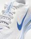 Кроссовки женские Nike Pegasus Premium HQ2593-107 цена