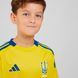 Домашнее джерси детское Ukraine 24 Kids Performance IP2189 цена