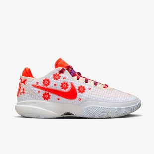 Кросівки чоловічі NIKE LEBRON XX PRM FJ0725-801 ціна