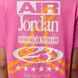 Жіноча футболка JORDAN W J FLT SS GF GFX TEE SUV IF0830-684 ціна