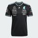 Джерсі чоловіче Mercedes - AMG Petronas Formula One Team Driver Authentic Performance JY2607 ціна