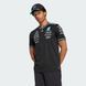 Джерсі чоловіче Mercedes - AMG Petronas Formula One Team Driver Authentic Performance JY2607 ціна