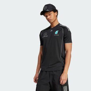 Джерсі чоловіче Mercedes - AMG Petronas Formula One Team Mechanics Performance JX8245 ціна