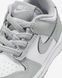 Дитячі кросівки NIKE DUNK LOW (TDE) FB9107-123 ціна