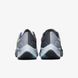 Жіночі кросівки Nike Air Zoom Pegasus 38 Limited Edition DJ3129-001 ціна