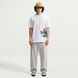 Чоловіча футболка NIKE SB TEE LSE SK8PILLAR IM4430-100 ціна