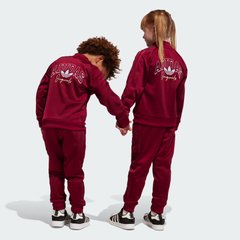 Детский спортивный костюм Adidas Originals IJ0742 цена