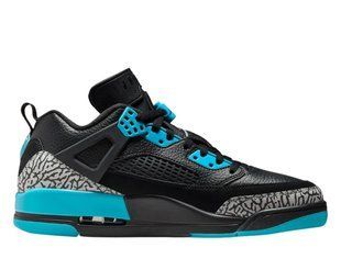 Кроссовки мужские Air Jordan Spizike Low FQ1759-005 цена