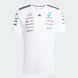 Джерсі чоловіче Mercedes - AMG Petronas Formula One Team Driver Performance JX5798 ціна