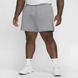 Шорти чоловічі NIKE M Dri-FIT PRIMARY 7IN SHORT FZ0961-065 ціна