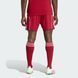 Домашні шорти чоловічі Liverpool FC 25/26 Home JV6425 ціна