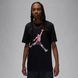 Мужская футболка JORDAN M J BRAND JM WTRCLR SS CREW FN5980-010 цена