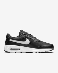 Чоловічі кросівки Nike Air Max Sc CW4555-002 ціна