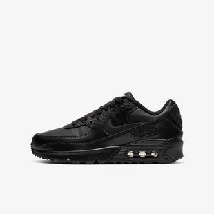 Кросівки Nike Air Max 90 Ltr (Gs) CD6864-001 ціна