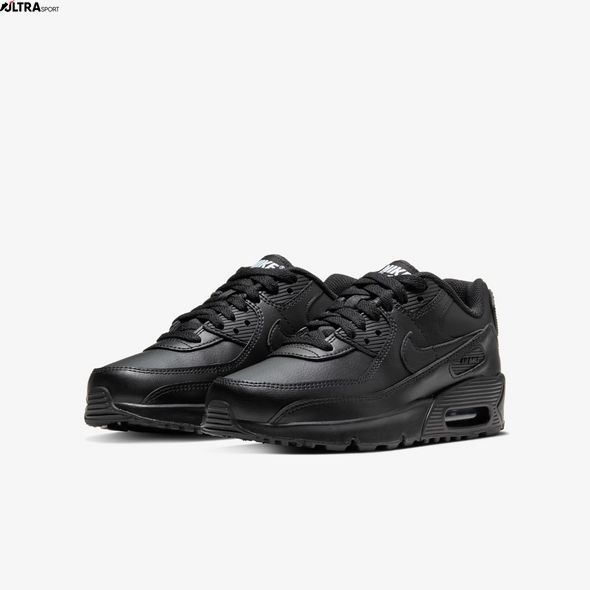 Кросівки Nike Air Max 90 Ltr (Gs) CD6864-001 ціна