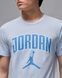 Футболка чоловіча Nike Jordan HQ0009-407 ціна