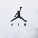 Мужская футболка Air Jordan M J Jumpman Air Embrd AH5296-100 цена