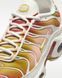 Кросівки жіночі Nike Air Max Plus DZ3670-007 ціна