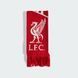 Шарф Liverpool FC JZ5883 ціна