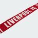 Шарф Liverpool FC JZ5883 ціна