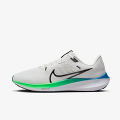 Кросівки Nike Air Zoom Pegasus 40 DV3853-006 ціна