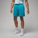 Шорты Jordan M Ess Flc Short DQ7470-483 цена