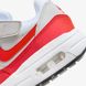 Кроссовки Nike Air Max 1 Easyon (Ps) DZ3308-003 цена