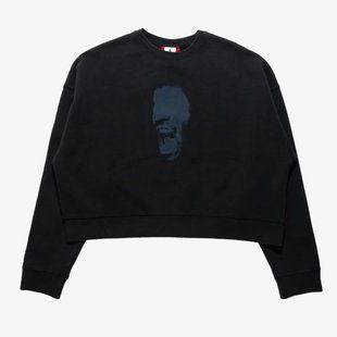 Чоловіча толстовка JORDAN IN1HOUSE CROP FLEECE CREW IM7397-010 ціна
