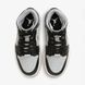 Женские кроссовки Wmns Air Jordan 1 Mid Se FB9892-002 цена