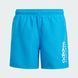Шорты для плавания детские Sportswear Essentials Logo CLX Swim JG5822 цена