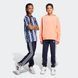 Флисовые джогеры детские Essentials 3-Stripes Sportswear IC0601 цена