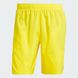 Плавательные шорты мужские Solid CLX Classic-Length IR6218 цена