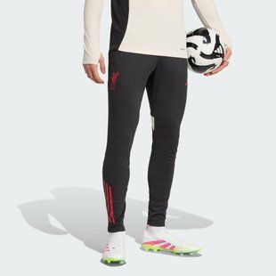 Спортивные мужские штаны Liverpool FC Tiro 25 Competition Performance JV6566 цена