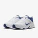 Кросівки Nike Defyallday DJ1196-100 ціна