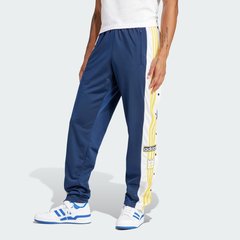 Спортивні штани чоловічі Adicolor Classics Adibreak IM8223 ціна