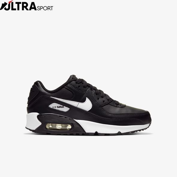 Кросівки Nike Air Max 90 Ltr (Gs) CD6864-010 ціна