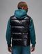 Жилетка мужская Nike Jordan Flight Down Vest FV7273-010 цена
