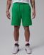 Чоловічі шорти JORDAN M J FLIGHT FLC DMND SHORT FV7257-310 ціна