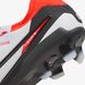 Бутсы Nike Legend 10 Pro Fg DV4333-100 цена