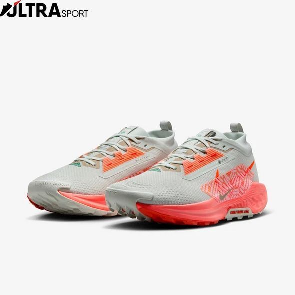 Кросівки чоловічі NIKE PEGASUS TRAIL 5 GTX FQ0908-004 ціна