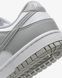 Кросівки жіночі Nike Dunk Low Next Nature DD1873-113 ціна