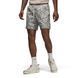 Шорти JORDAN M ESS POOLSIDE AOP SHORT FN4635-133 ціна