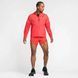 Чоловіча вітровка NIKE M NK SFADV AEROSWFT BRTBLE JKT FZ9039-696 ціна