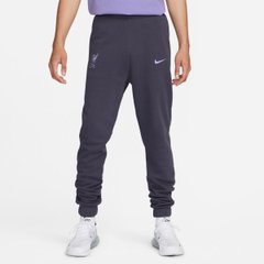 Штани Nike Lfc M Gfa Fleece Pant Bb DV4748-015 ціна