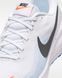 Кросівки чоловічі Nike Revolution 8 HJ9198-108 ціна