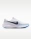 Кросівки чоловічі Nike Revolution 8 HJ9198-108 ціна