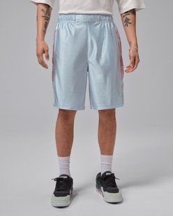 Мужские шорты JORDAN M J BRK CAT SCRATCH SHORT HV0560-100 цена