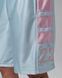 Мужские шорты JORDAN M J BRK CAT SCRATCH SHORT HV0560-100 цена
