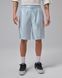 Мужские шорты JORDAN M J BRK CAT SCRATCH SHORT HV0560-100 цена